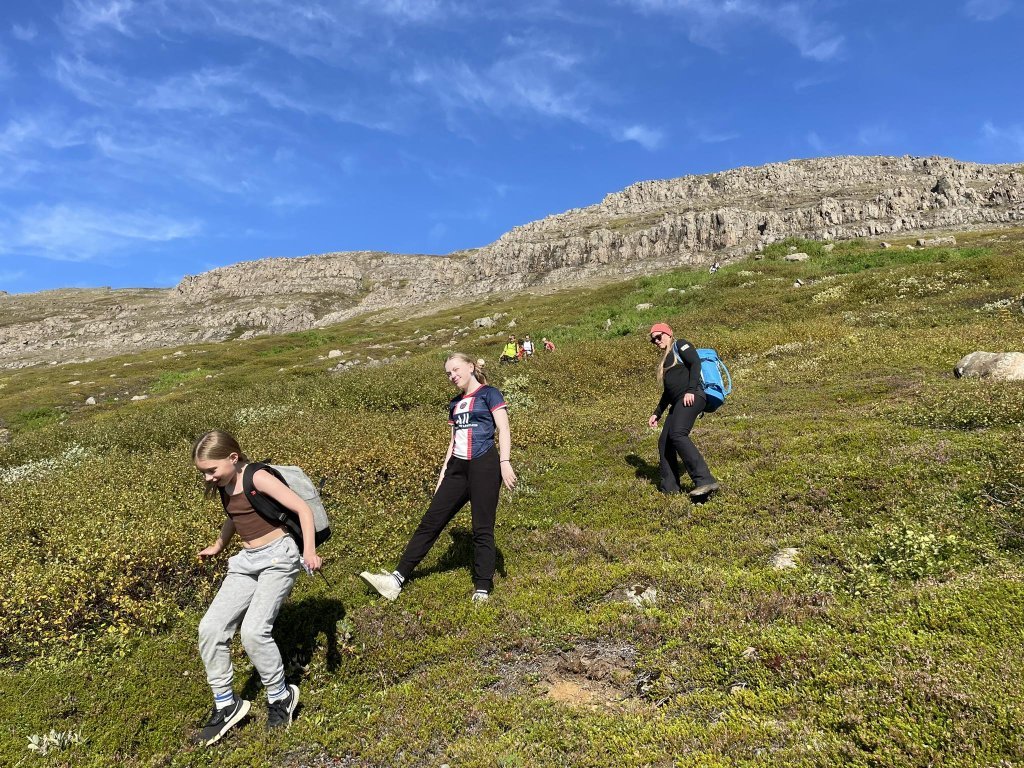 midstig-003.jpg