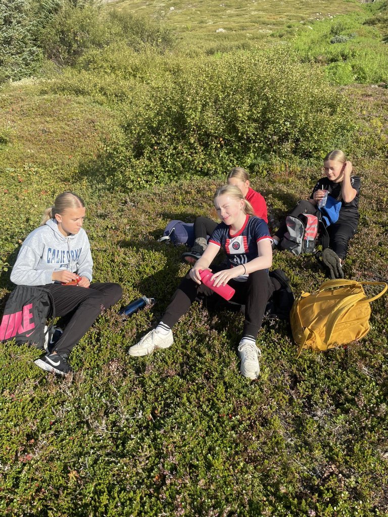 midstig-031.jpg